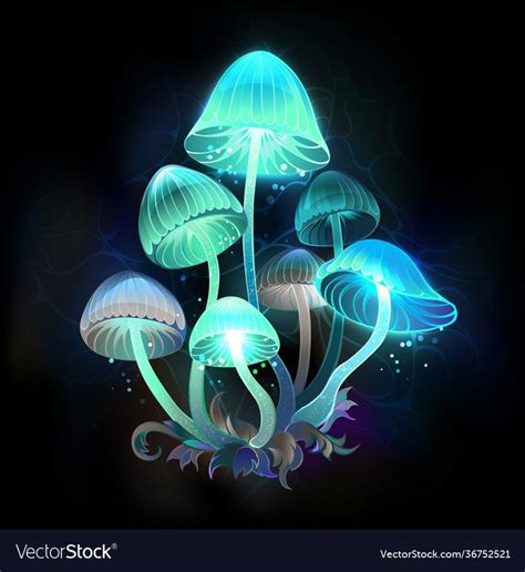 Mysterious, bioluminescent, blue, green toadstools on night, dark, glowing background. Glowing ...