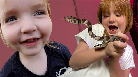 NEW PET SNAKE!! Baby Boa for Adley & Niko to care for at The ...