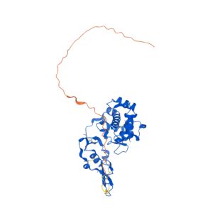 SPARC Gene - GeneCards | SPRC Protein | SPRC Antibody