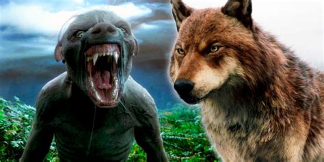 Harry Potter vs. Twilight: Which Fantasy World Has Better Werewolves?