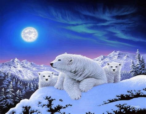 Snow Polar Bear Wallpaper 1920x1500 81684 - Baltana