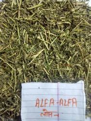 Alfalfa Grass - Wholesale Price & Mandi Rate for Lucerne Grass in India