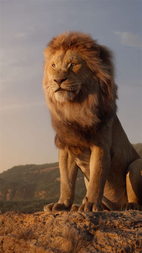 Baby Animal, Lion, Mufasa, Simba, The Lion King 4k, HD Wallpaper | Rare ...