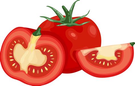 Tomato illustration element 19782597 PNG