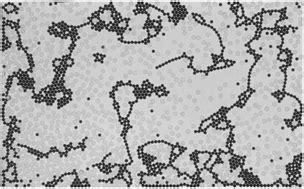 Coarsening dynamics of ferromagnetic granular networks—experimental results and simulations ...