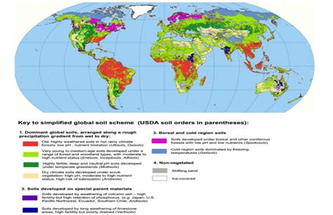 Understanding Soil Maps at a Broad Global Level | GEOG 3: The Future of ...