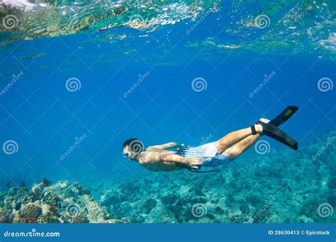 Snorkeling Underwater stock image. Image of shallow, tropical - 28630413