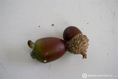 Easy Adorable Squirrel Acorn Craft for Kids – Mama Instincts®