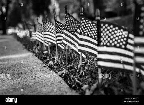 American flag 13 states Black and White Stock Photos & Images - Alamy