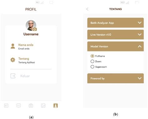 Figure 1 from Designing Batik and Artificial Batik Differentiator Applications Using Tensorflow ...