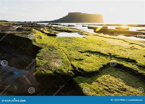 Volcano Stones at Sunrise at Ilchulbong Volcano Crater, Seongsan, Jeju ...