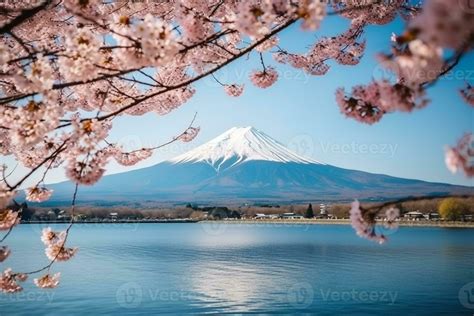 Cherry blossoms with fuji mountain background.Generative Ai. 29553068 ...