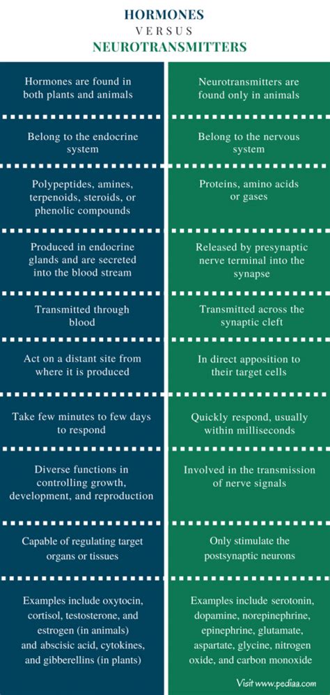 Difference Between Hormones and Neurotransmitters | Definition ...