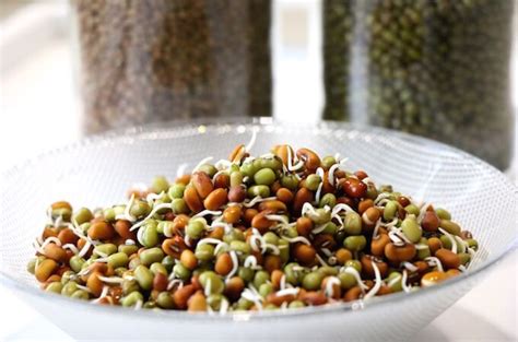 How to sprout beans, legumes, nuts, seeds and grains | My Weekend Kitchen