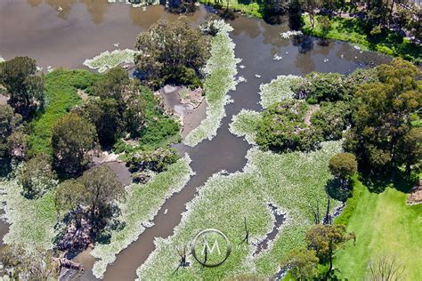 Aerial Stock Image - Chipping Norton Lake