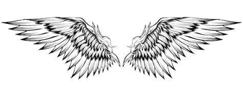 Tattoo Drawings Of Angel Wings