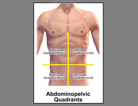 2015 Icd 10 Code For Abscess Male Pelvic