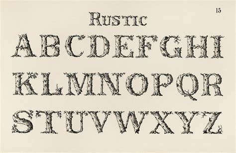 Rustic calligraphy fonts from Draughtsman's Alphabets … | Flickr