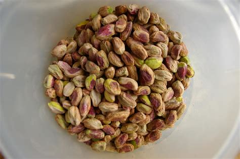 Forum: Pistachio nut seeds