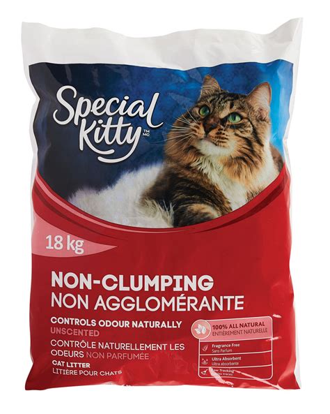 Special Kitty Non-Clumping Odour Control Unscented CAT Litter | Walmart ...