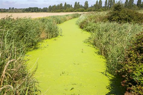 Water Pollution From Farming Is Worsening, Costing Billions - Bloomberg