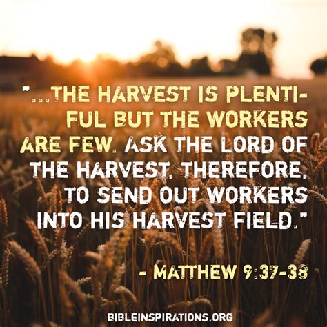 The Harvest Is Plentiful But The Workers Are Few… – Bible Inspirations