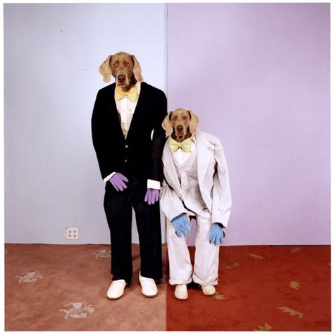 William Wegman, Untitled, 1996 #purple #photography | William wegman, T shirts for women ...