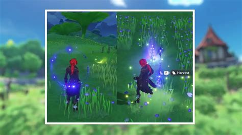 Genshin Impact: Sumeru Square Grass Puzzles Guide