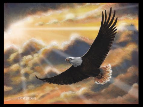 Wayne Beeman's Sketchbook: Eagle Wings