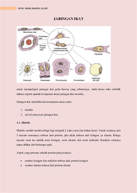 (PDF) Jaringan ikat.pdf