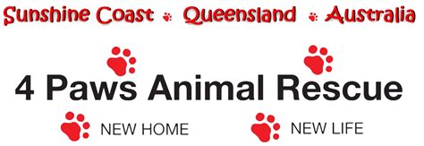 4 Paws Animal Rescue - Sunshine Coast, Queensland - Nicklin Way ...