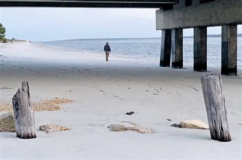 Amelia Island State Park – Amelia Island Living eMagazine