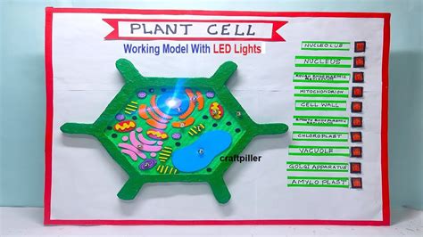 plant cell model working model using LED lights – science project for exhibition – biology ...