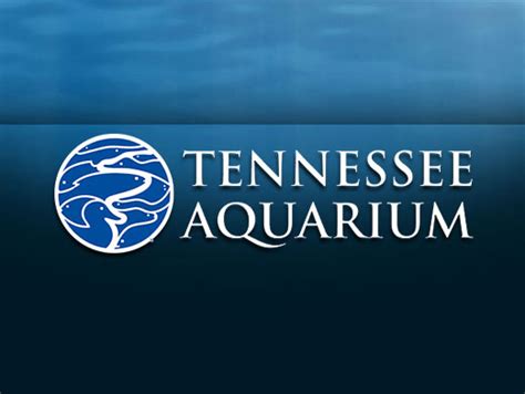 Tennessee Aquarium Cash Back – Coupons & Promo Codes | ShopAtHome.com