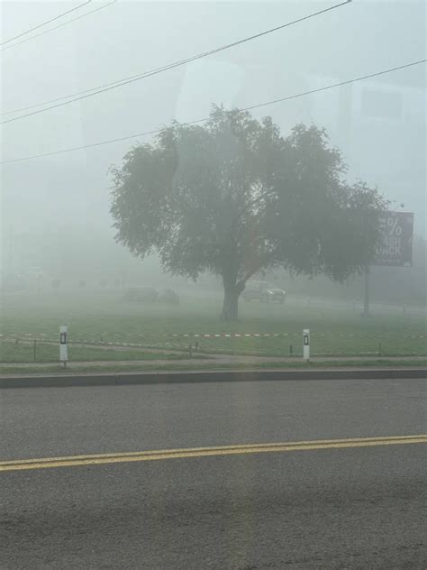 Create meme "nature , thick fog , fog " - Pictures - Meme-arsenal.com