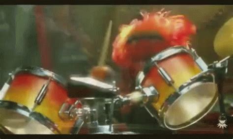 Drummer The Muppets GIF - Drummer TheMuppets Animal - Discover & Share GIFs