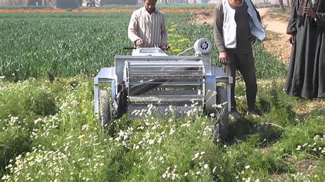 Flower Harvesting Machine - Saffron Harvesting Machine A Mechanical Saffron Flower Harvesting ...