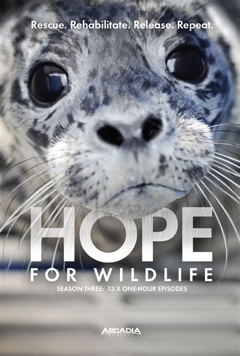 Hope for Wildlife, Season Three – Hope for Wildlife TV