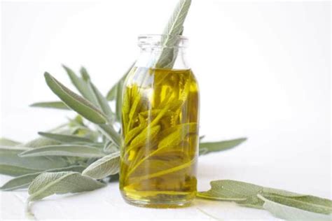 How to make sage oil - SimplyBeyondHerbs