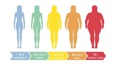 Move Over BMI, Do You Know Your Body Fat Percentage? | Voice of Health