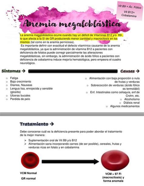 Anemia megaloblástica | Sofia G. | uDocz