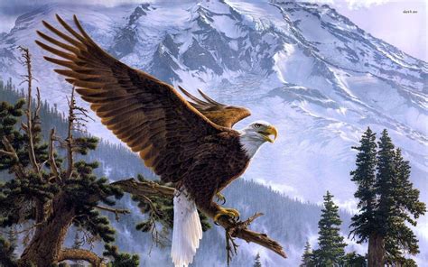 Bald Eagles Wallpapers - Wallpaper Cave