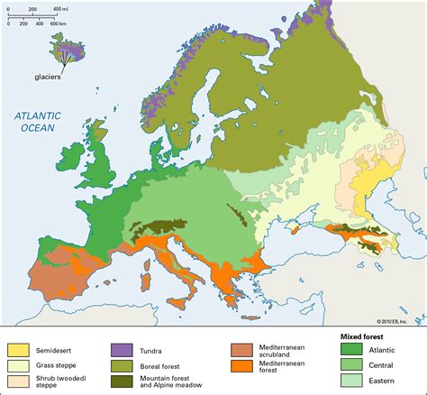 Mediterranean Vegetation On World Map : Mediterranean Climate Facts For ...