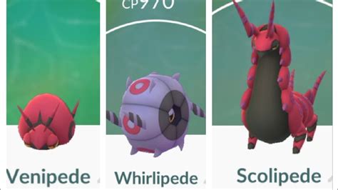 Evolving Scolipede from Venipede in Pokemon go | Whirlipede | Bug/Poison Pokemon | - YouTube