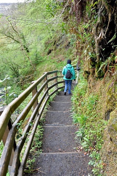 Glenariff Forest Park - Waterfall Walk | Glenariff is one of… | Flickr