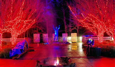 Winter Lights at NC Arboretum Photo Tour