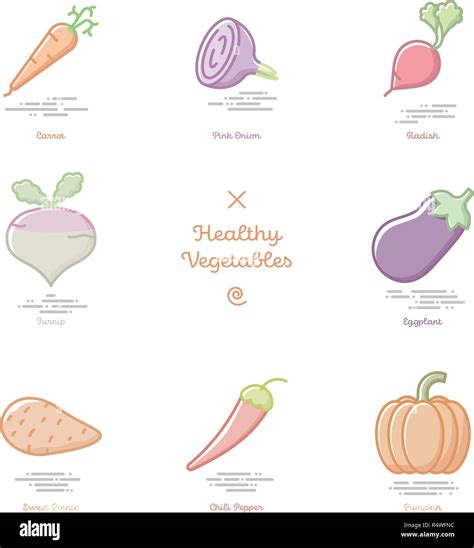 Vector illustration of eight healthy vegetables including carrot, onion, radish, turnip ...