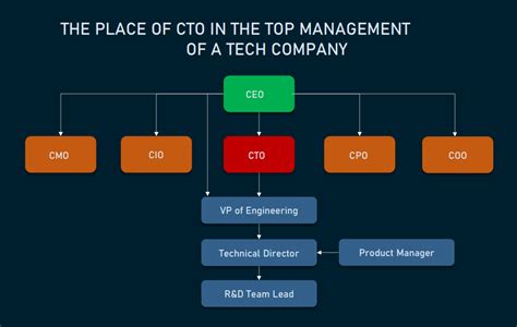 CTO's Roles, Skills, Responsibilities and Background | AltexSoft