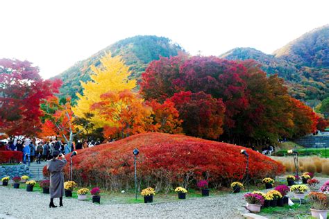 Fuji Kawaguchiko Autumn Leaves Festival: What You Need to Know | Tokyo Past 3