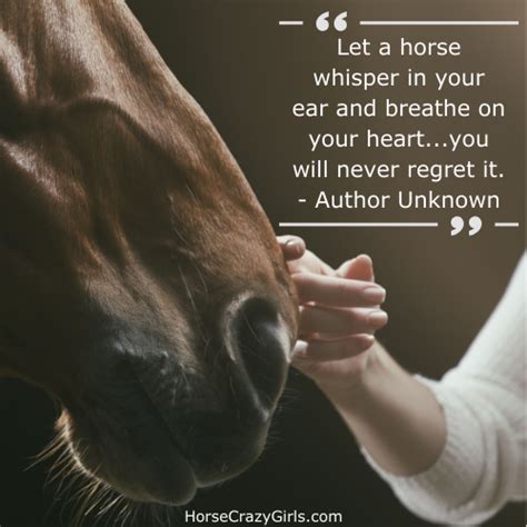 Horse Quotes